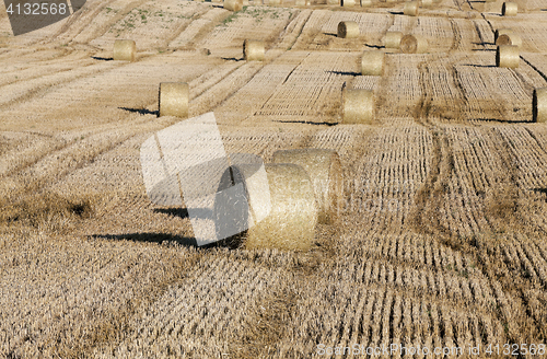 Image of stack of straw in the field