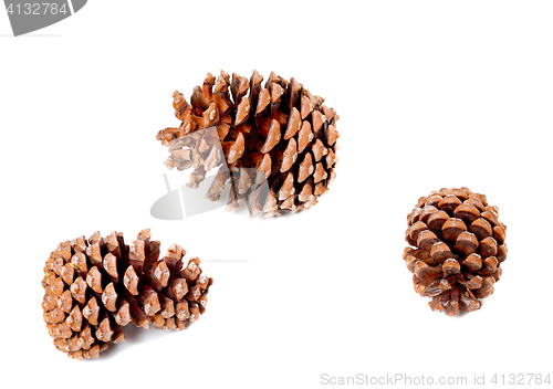 Image of Three big pine cones