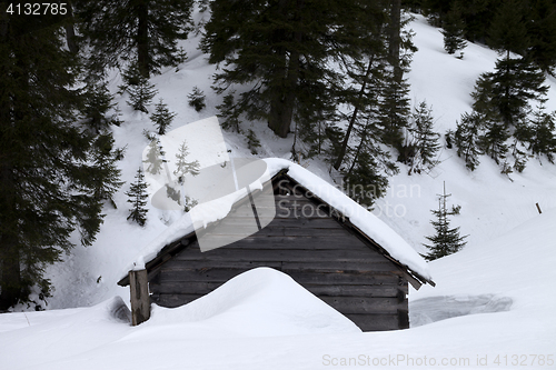 Image of Old wooden hut covered with snow in winter forest at gray day