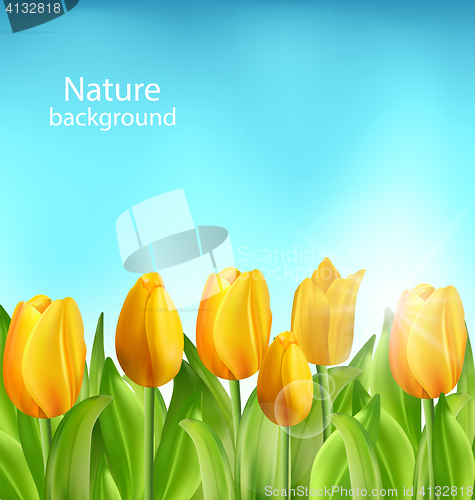 Image of Nature Floral Background with Tulips Flowers