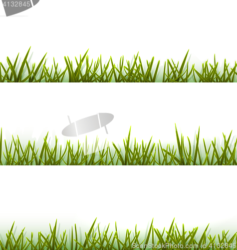 Image of Realistic green grass collection isolated on white
