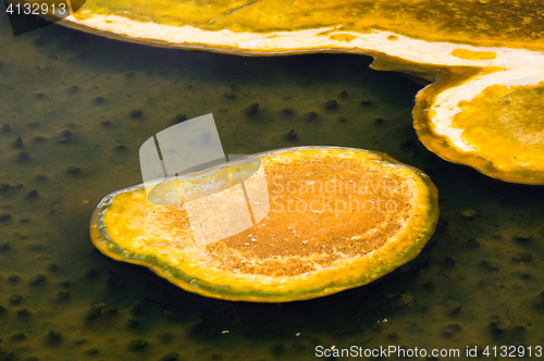 Image of Yellowstone National Park, Utah, USA