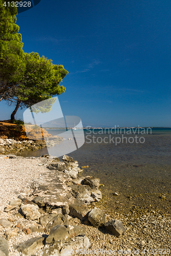 Image of Island Vir, Croatia