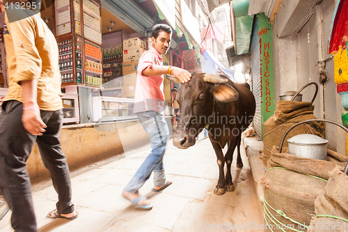 Image of Passerby and cow, Varanasi, India