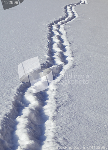 Image of Footsteps in the snow