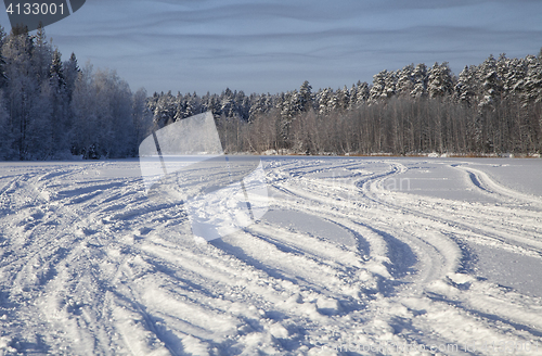 Image of Tracks on snow