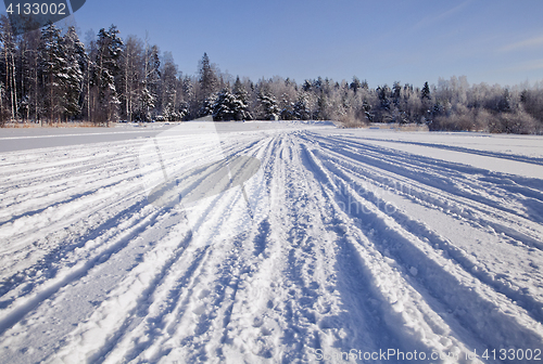 Image of Tracks on snow