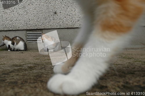 Image of standing guard