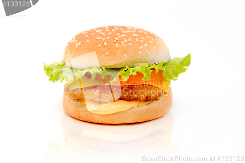 Image of Fresh and tasty burger isolated
