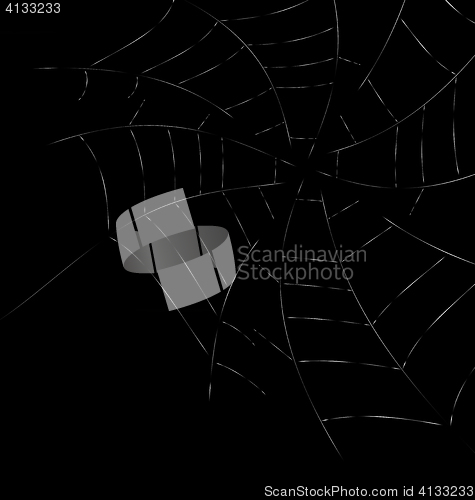 Image of Trap Spider Web