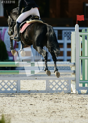 Image of Rider on bay horse in competitions