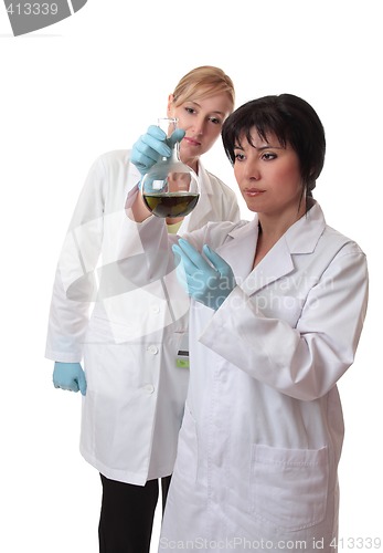 Image of Scientific laboratory workers