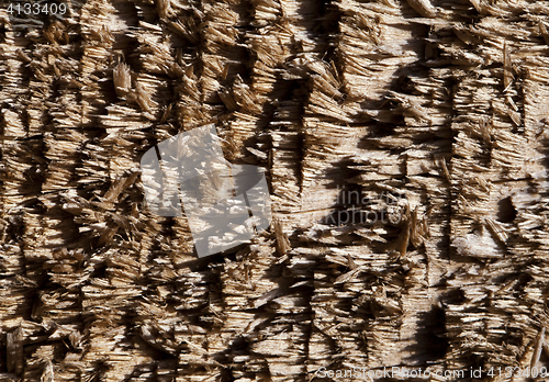 Image of Chipped wood texture