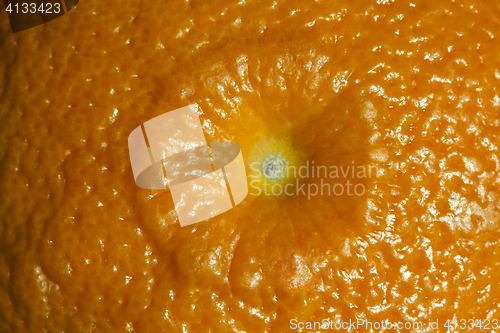 Image of Close-up of tangerine