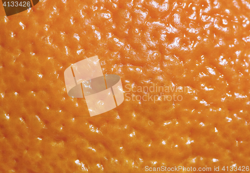 Image of Close-up of tangerine