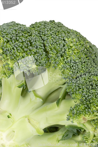 Image of Broccoli Close-Up