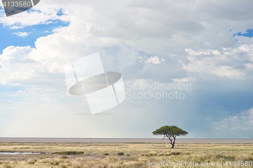 Image of african landscape