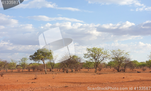 Image of Kalahari