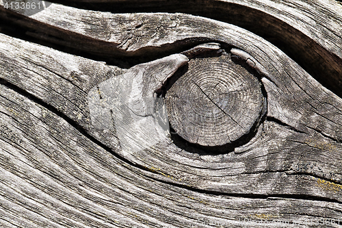 Image of Cracked wood macro