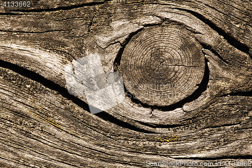 Image of Cracked wood macro