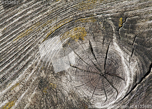 Image of Abstract cracked wood  