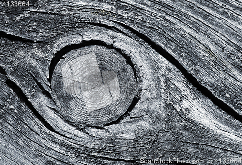 Image of Cracked wood macro