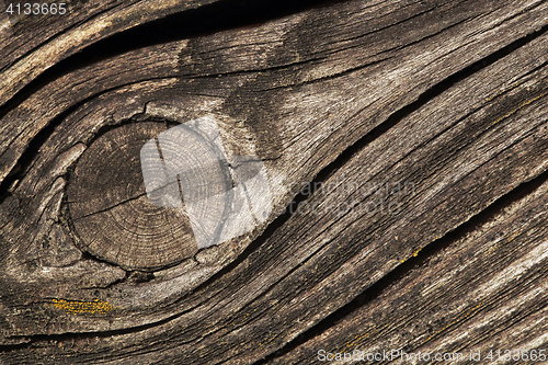 Image of Cracked wood macro