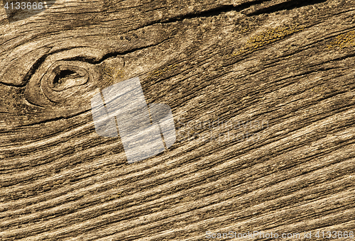 Image of Cracked wood macro