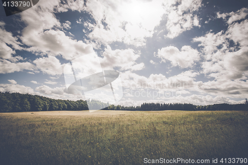 Image of Cloudy weather over a meadow