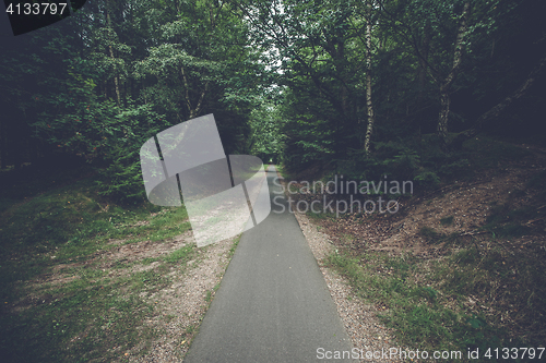 Image of Forest trail of concrete