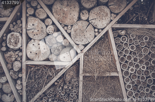 Image of Abstract background with wood logs