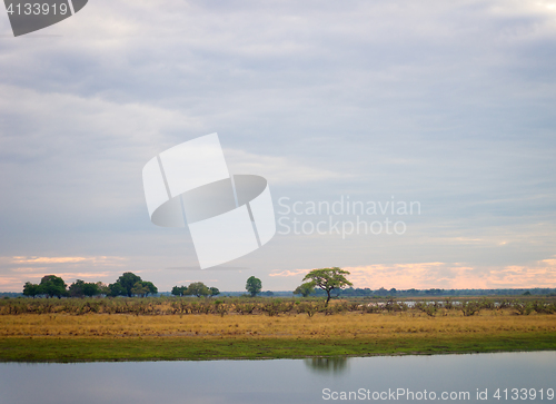 Image of morning in savannah