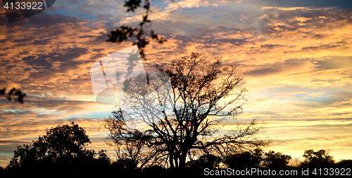 Image of african sunset