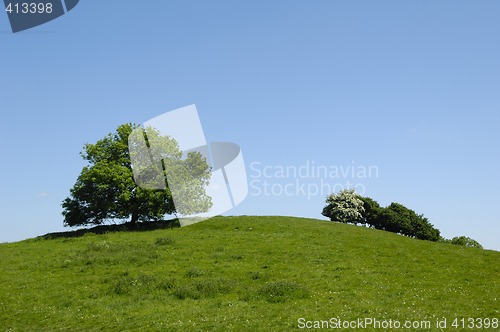 Image of Tree on top of hill
