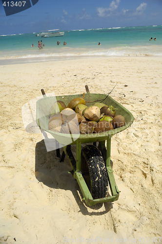 Image of Coconuts for sale on exotic beach