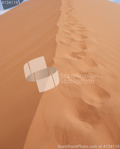 Image of sand dune