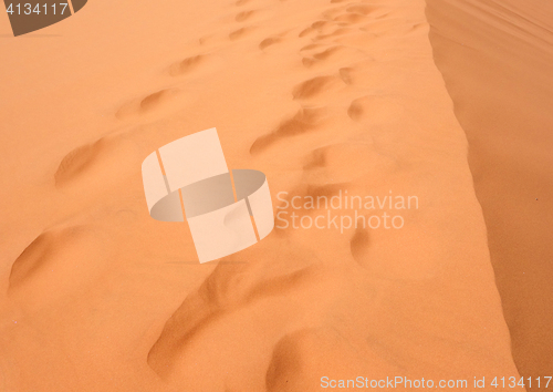 Image of sand dunes