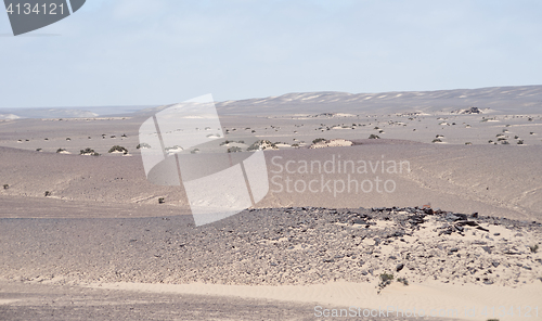 Image of desert landscape