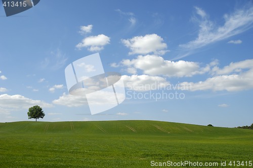 Image of Tree on hill and clouds