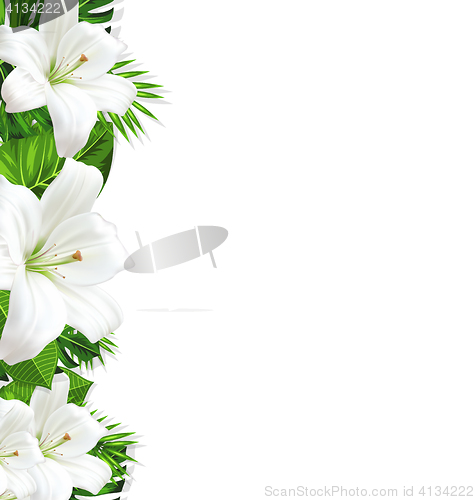 Image of Frame branch tropical leaves and white flowers lily