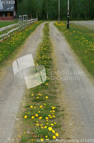 Image of Country road