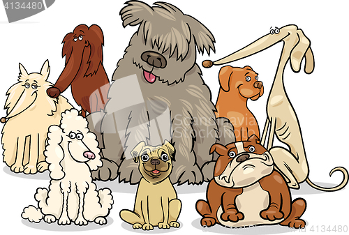 Image of cartoon purebred dogs group