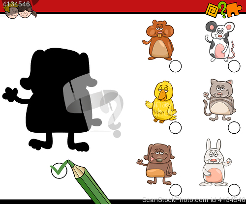 Image of shadows activity with pets