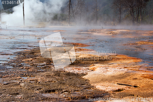 Image of Yellowstone National Park, Utah, USA