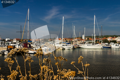 Image of Turanj, Dalmatia, Croatia