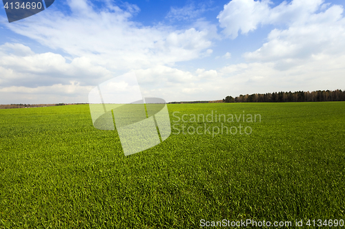 Image of grow up cereals