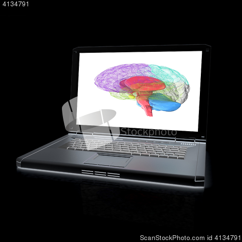 Image of creative three-dimensional model of  human brain scan on a digit