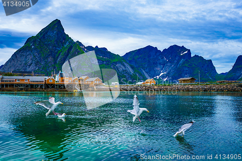 Image of Lofoten archipelago