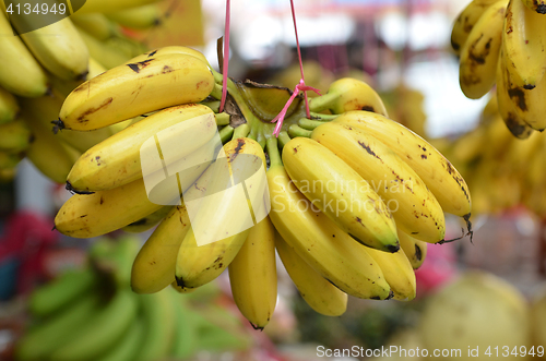 Image of Bananas hanging for sale