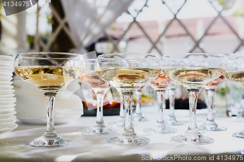 Image of Row of glasses filled with champagne are lined up ready to be served.